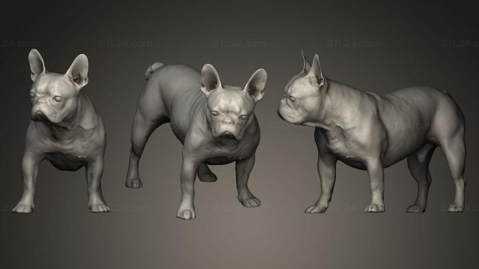 Статуэтки животных (СОБАКА B2, STKJ_0234) 3D модель для ЧПУ станка